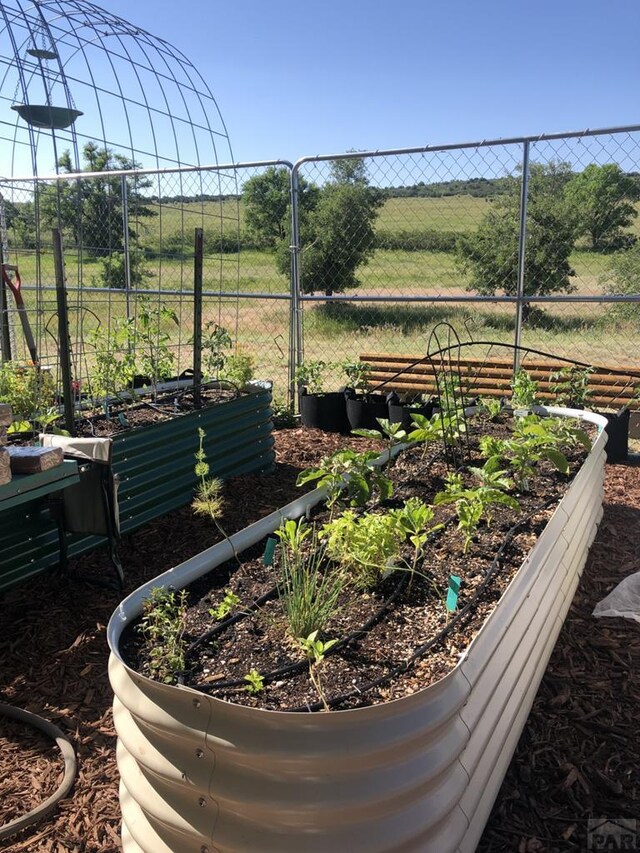 view of yard featuring a garden, fence, and a rural view