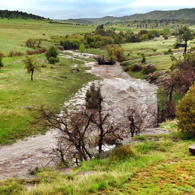 drone / aerial view featuring a rural view