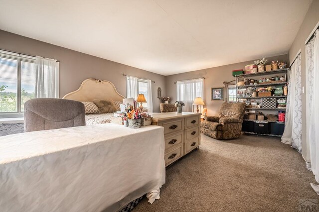 bedroom featuring carpet floors and multiple windows