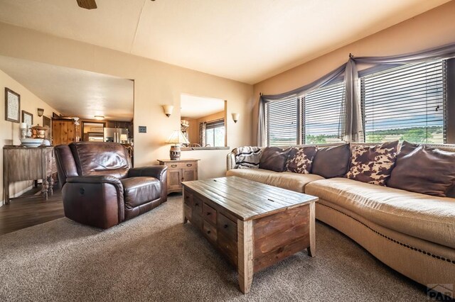 living room with carpet