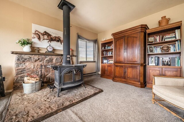 room details with a wood stove and carpet floors