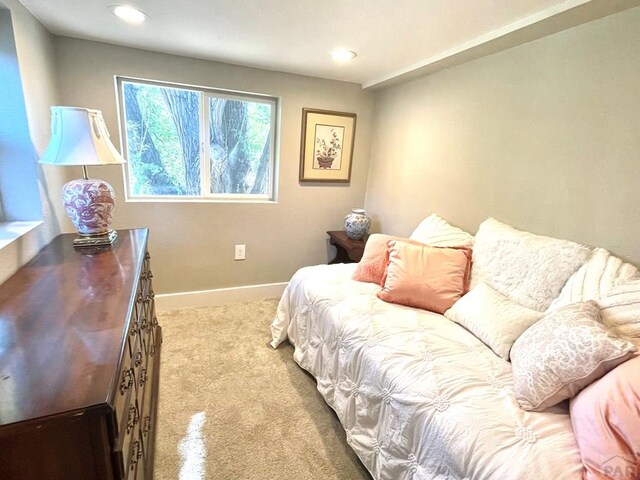 319 E Evans Ave, Pueblo, CO 81004 - photo 18