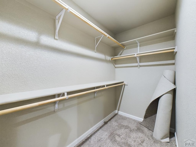 151 S Stardust Cir, Pueblo West, CO 81007 - walk in closet with light colored carpet