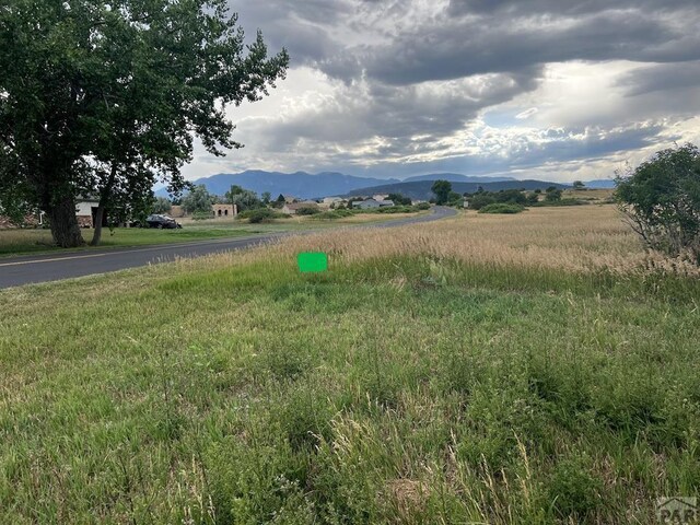 LOT39 Cuerno Verde Blvd, Colorado City, CO 81019 - photo 10