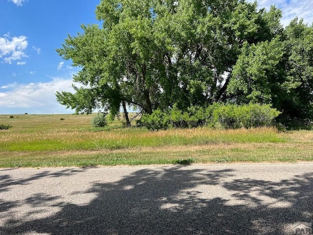 LOT39 Cuerno Verde Blvd, Colorado City, CO 81019 - photo 3