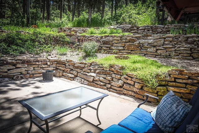 8570 Pine Dr, Beulah, CO 81023 - view of patio / terrace