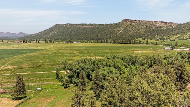 8570 Pine Dr, Beulah, CO 81023 - mountain view featuring rural landscape