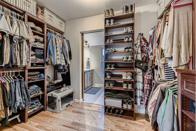 spacious closet featuring light wood-type flooring