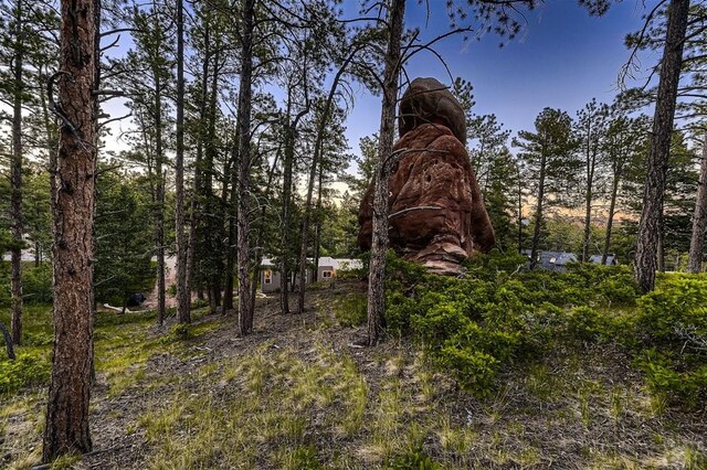 view of local wilderness