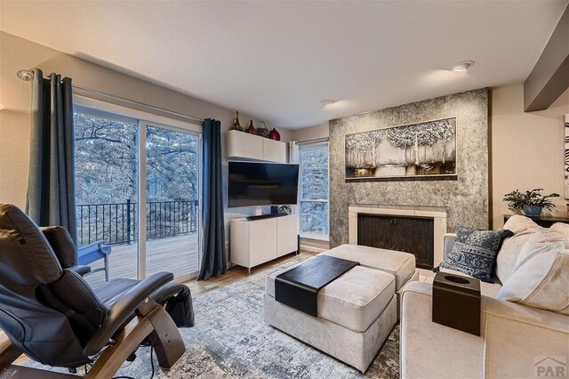 living room featuring a large fireplace and light wood-style flooring