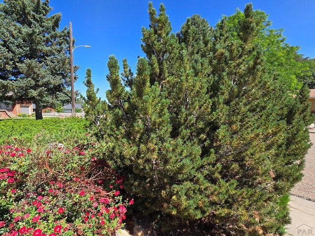 59 Circle Dr, La Junta, CO 81050 - photo 48