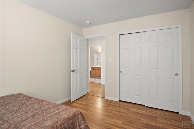 4317 Outlook Blvd Unit D, Pueblo, CO 81008 - bedroom featuring wood finished floors, baseboards, and a closet