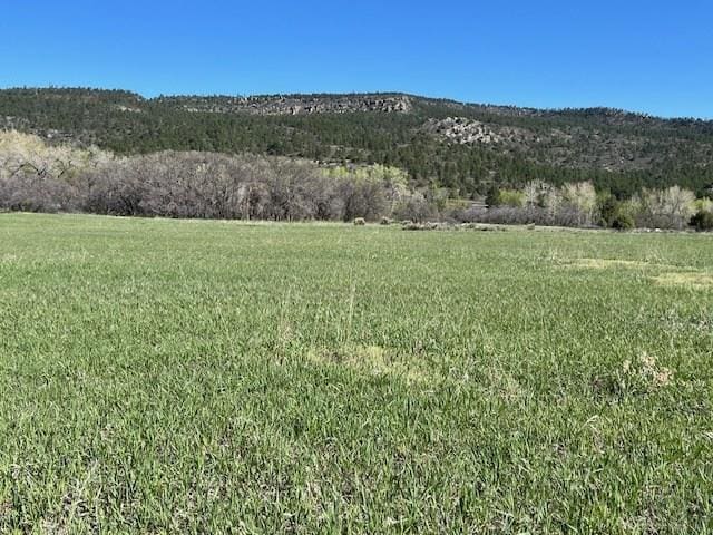 Listing photo 3 for TBD Stanley Ave, Colorado City CO 81019