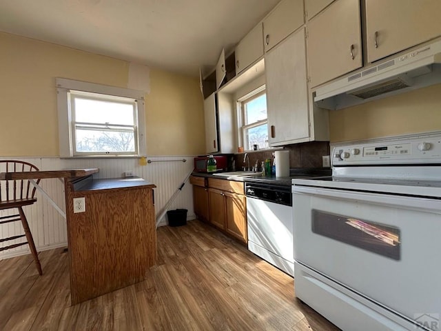 kitchen with white electric stove, dishwasher, wainscoting, under cabinet range hood, and a sink