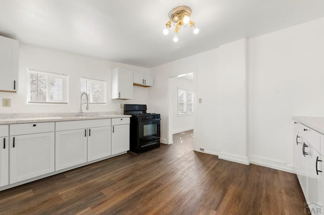 1609 Euclid Ave, Pueblo, CO 81004 - kitchen featuring a sink, a healthy amount of sunlight, dark wood-style floors, and black gas range oven