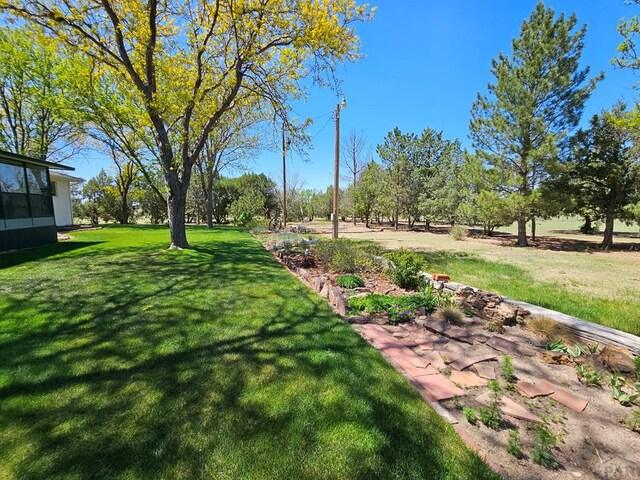 743 G St, Two Buttes, CO 81084 - view of green lawn