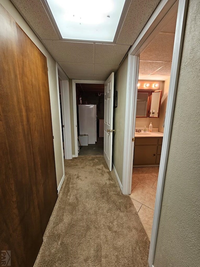 743 G St, Two Buttes, CO 81084 - hall featuring a drop ceiling, a sink, light carpet, and baseboards