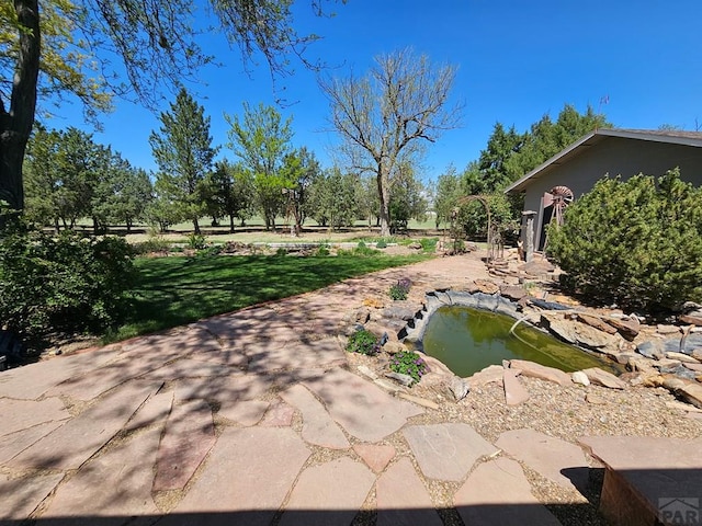 743 G St, Two Buttes, CO 81084 - view of green lawn with a small pond
