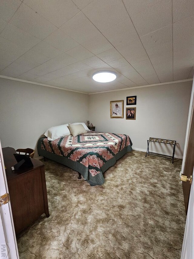 743 G St, Two Buttes, CO 81084 - bedroom with ornamental molding, carpet, and baseboards