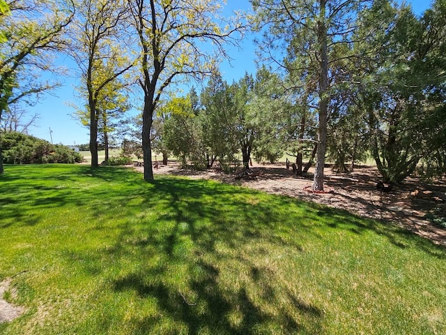 743 G St, Two Buttes, CO 81084 - view of green lawn
