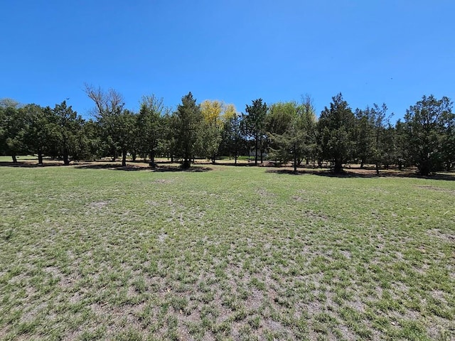 743 G St, Two Buttes, CO 81084 - view of green lawn