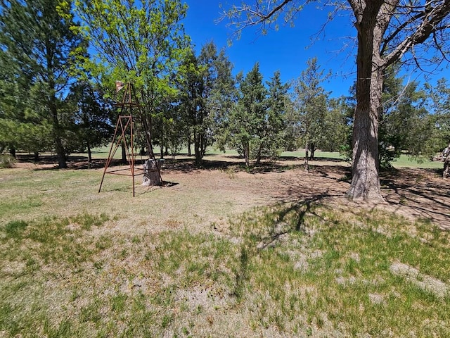 743 G St, Two Buttes, CO 81084 - view of yard