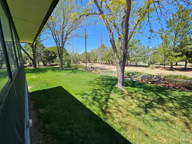 743 G St, Two Buttes, CO 81084 - view of grassy yard