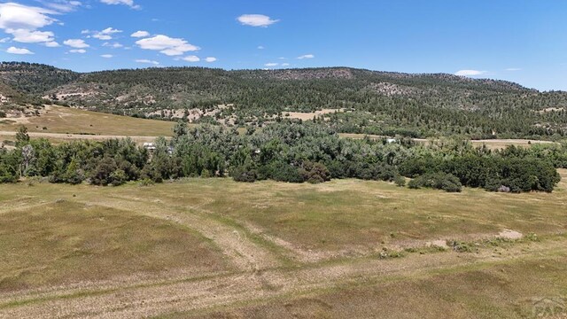 TBD Byzon Ct, Colorado City, CO 81019 - photo 9