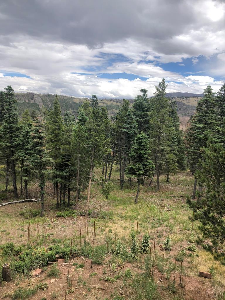 TBD Houchin Blvd, La Veta, CO 81055