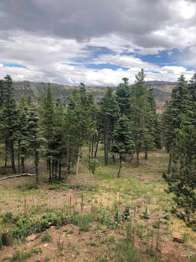 TBD Houchin Blvd, La Veta, CO 81055