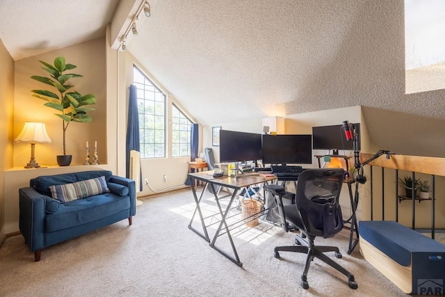 830 S Vance St, Lakewood, CO 80226 - office space with a textured ceiling, lofted ceiling, and carpet flooring