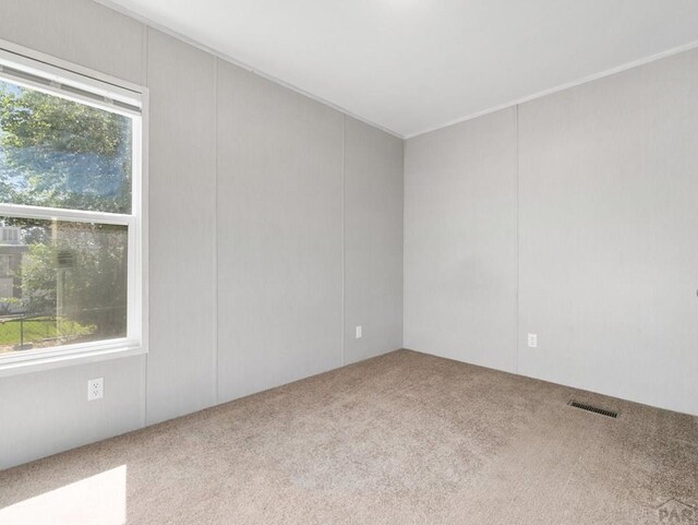 181 E Kipling Dr, Pueblo West, CO 81007 - photo 17