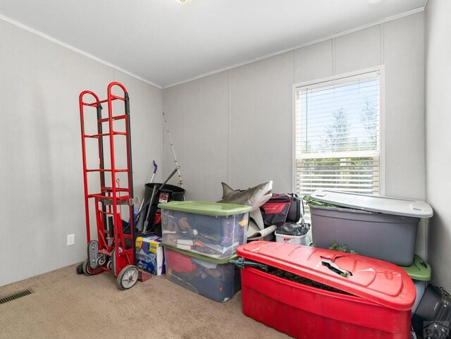 181 E Kipling Dr, Pueblo West, CO 81007 - photo 20