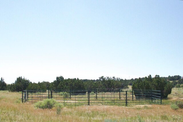 33563 County Road 53.7, Aguilar, CO 81020 - photo 12