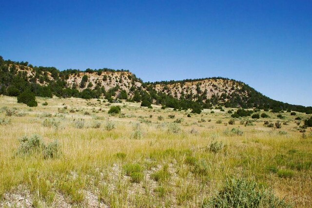 33563 County Road 53.7, Aguilar, CO 81020 - photo 16