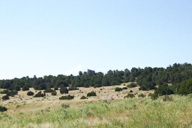 33563 County Road 53.7, Aguilar, CO 81020 - photo 18