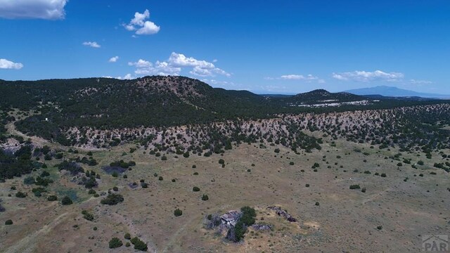 33563 County Road 53.7, Aguilar, CO 81020 - photo 46