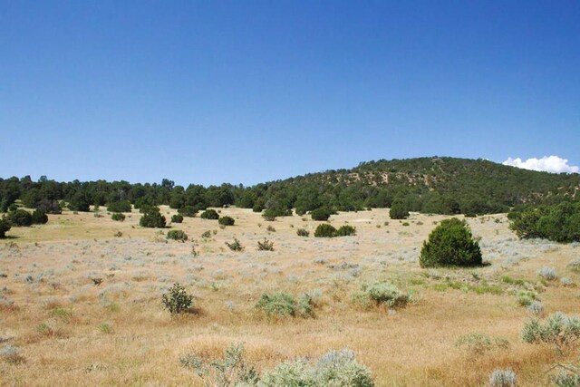 33563 County Road 53.7, Aguilar, CO 81020 - photo 39