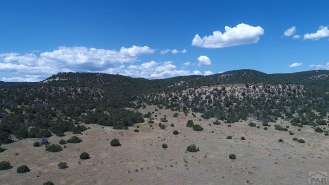 33563 County Road 53.7, Aguilar, CO 81020 - photo 54