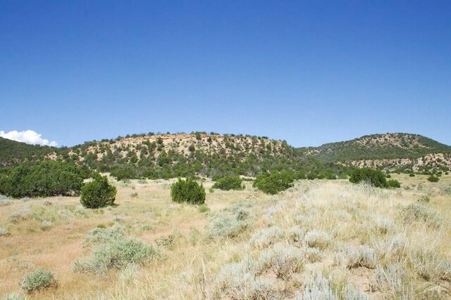 33563 County Road 53.7, Aguilar, CO 81020 - photo 32