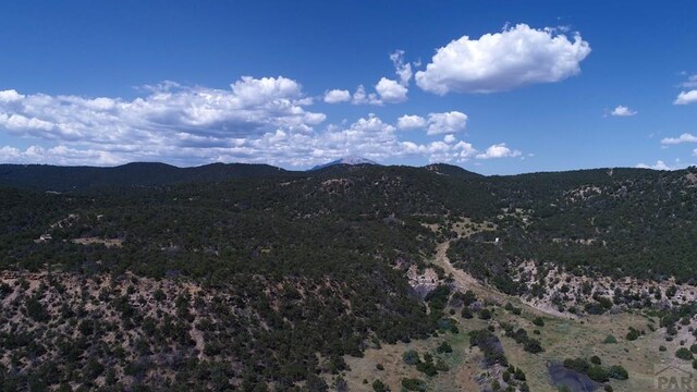 33563 County Road 53.7, Aguilar, CO 81020 - photo 41