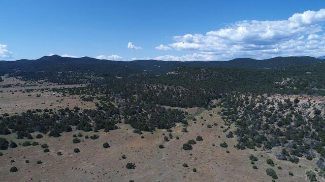 33563 County Road 53.7, Aguilar, CO 81020 - photo 47