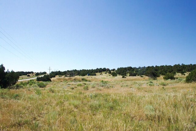 33563 County Road 53.7, Aguilar, CO 81020 - photo 36