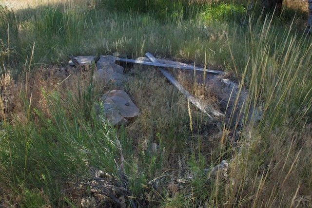 33563 County Road 53.7, Aguilar, CO 81020 - photo 11