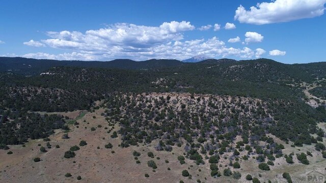 33563 County Road 53.7, Aguilar, CO 81020 - photo 49