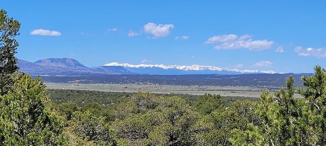 99 River Ridge Rnch, Walsenburg CO, 81089 land for sale