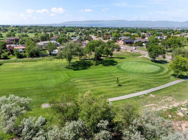 152 W Glenrose Dr, Pueblo West, CO 81007 - photo 35