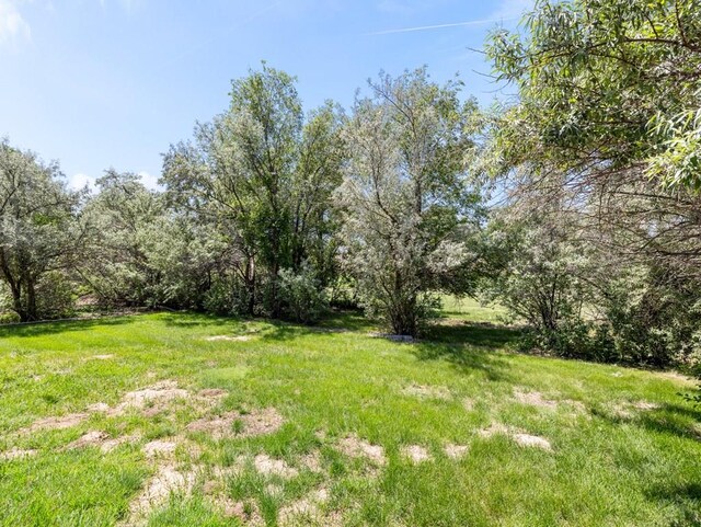 152 W Glenrose Dr, Pueblo West, CO 81007 - photo 28