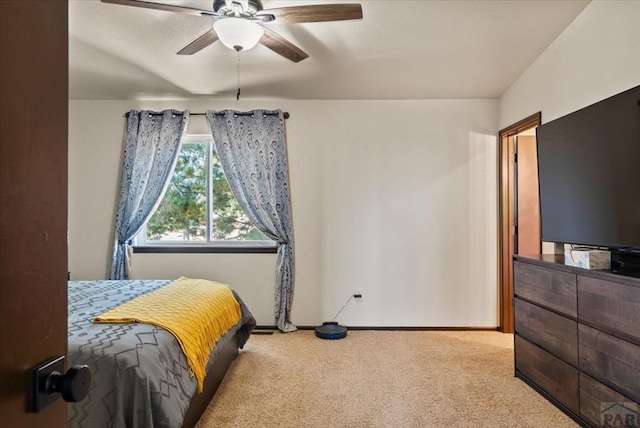 225 N Merrill Dr, Pueblo West, CO 81007 - photo 21