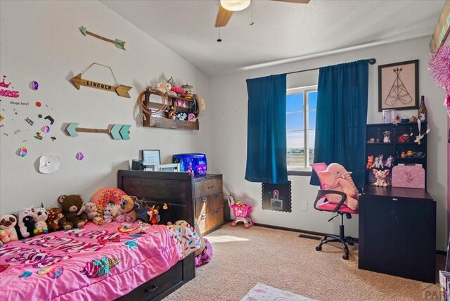 225 N Merrill Dr, Pueblo West, CO 81007 - photo 19